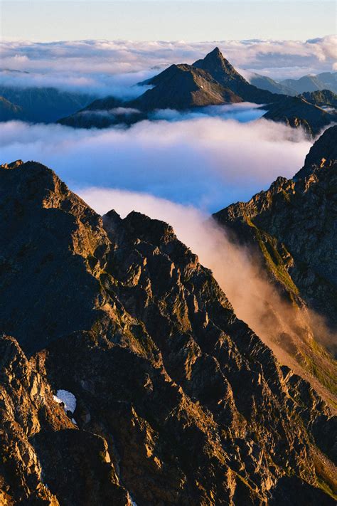 天山遯